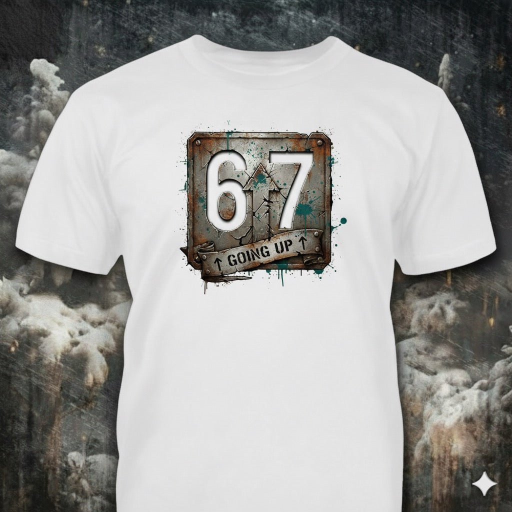 Six Seven distressed graphic men's T-shirt from Reborn XII